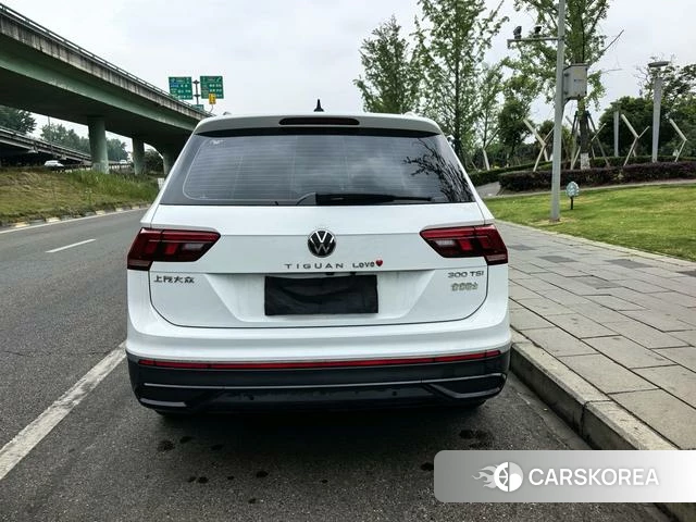 Volkswagen Tiguan L 2024 Белый из Китая, фото 4
