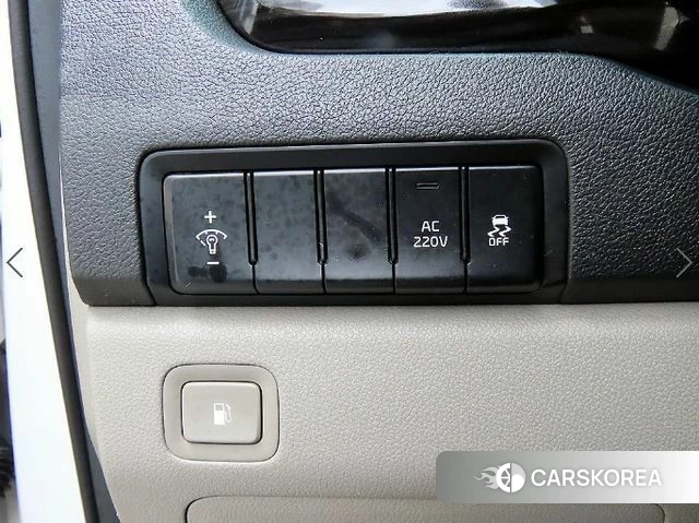 Kia The New Carnival 2019 Белый из Кореи, фото 4