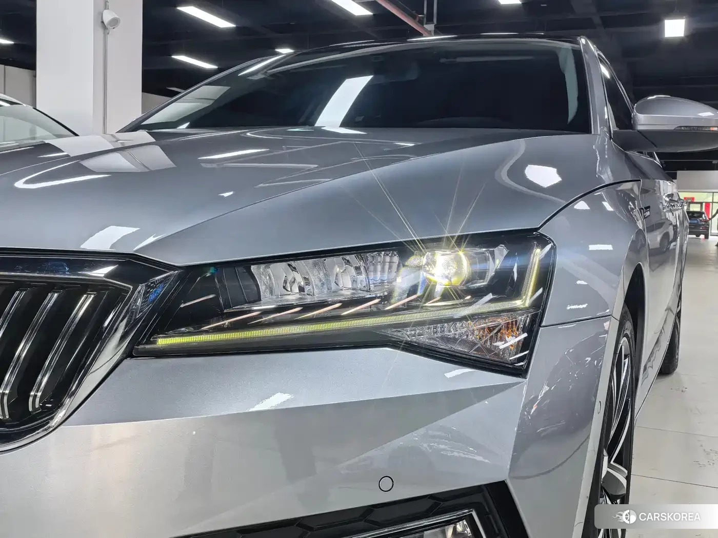 Skoda Speed pie 2023 Silver/gray из Китая, фото 4