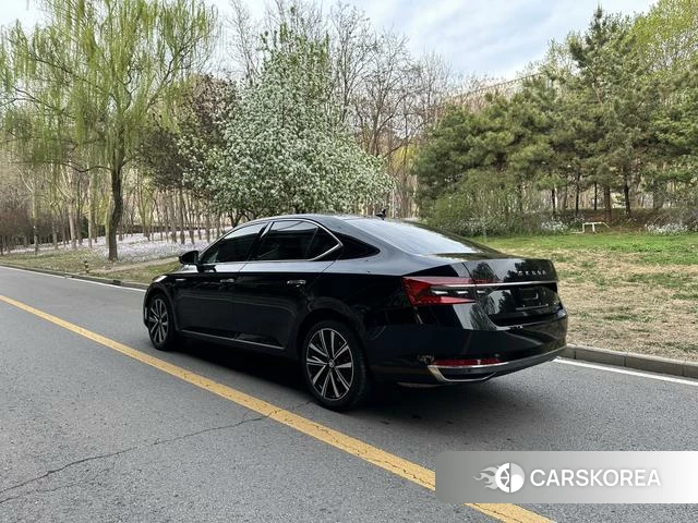 Skoda Speed pie 2021 Черный из Китая, фото 4