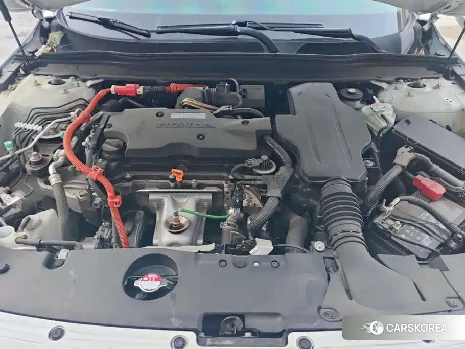 Honda Accord 2023 Белый из Китая, фото 4
