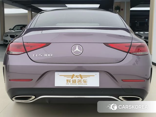 Mercedes-Benz CLS 2022 Фиолетовый из Китая, фото 4