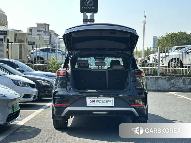 BYD Tang DM 2024 Черный из Китая, фото 4
