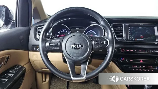 Kia The New Carnival 2019 Белый из Кореи, фото 4