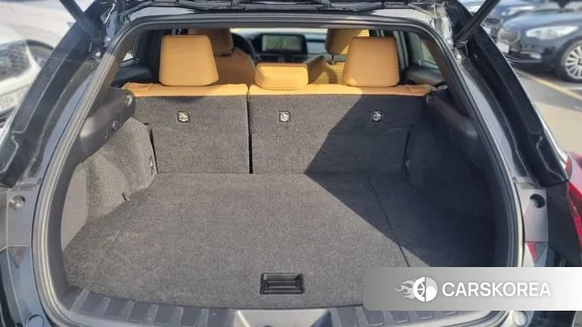 Lexus UX250h 2023 Черный из Кореи, фото 4