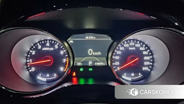 Kia The New Carnival 2018 Белый из Кореи, фото 4