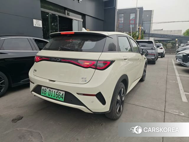 BYD dolphin 2025 Желтый из Китая, фото 4