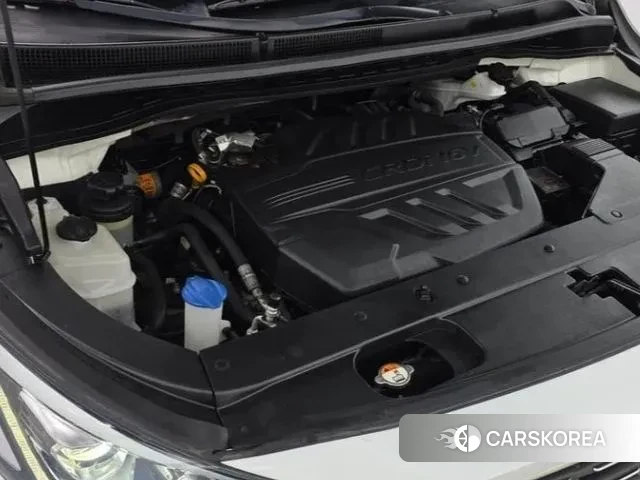 Kia The New Carnival 2019 Белый из Кореи, фото 4