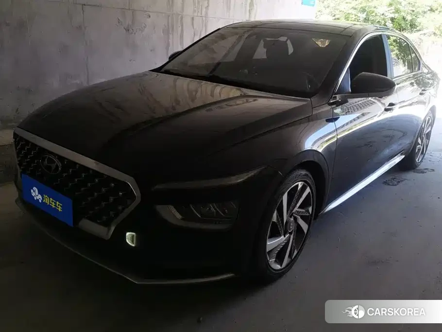 Hyundai Name picture 2022 Champagne/brown из Китая, фото 4