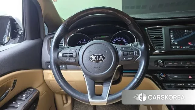 Kia The New Carnival 2020 Белый из Кореи, фото 4