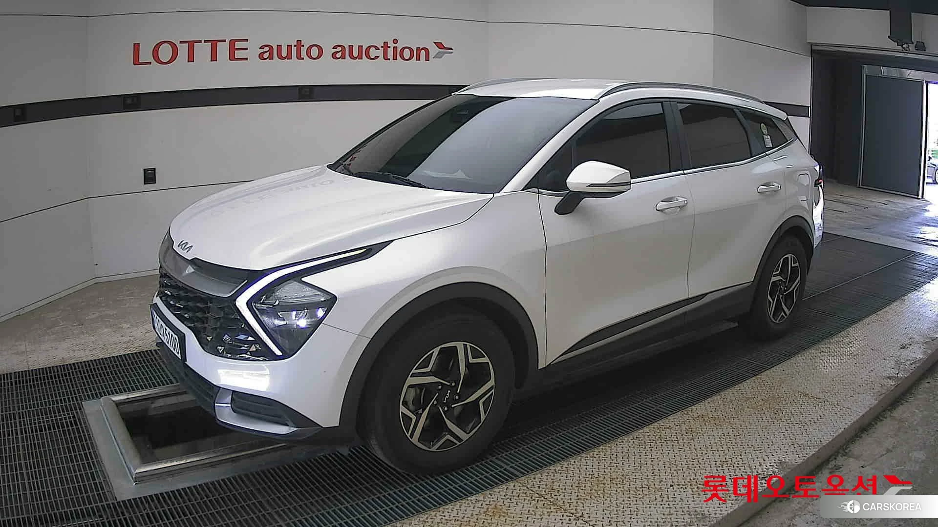 Kia Sportage 2023 Snow White Pearl (optional) из Кореи, фото 4