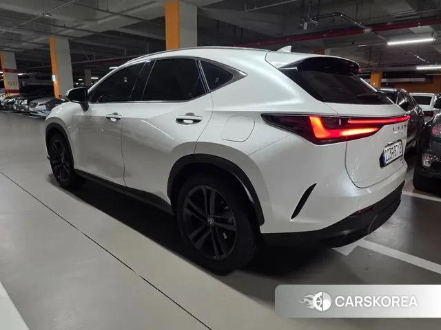 Lexus NX350h Second generation 2024 Белый из Кореи, фото 4
