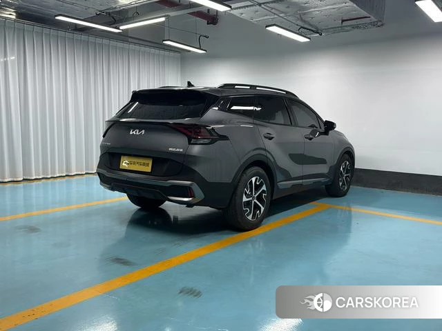 Kia Lion Platinum expands the world 2024 Темно-серый из Китая, фото 4