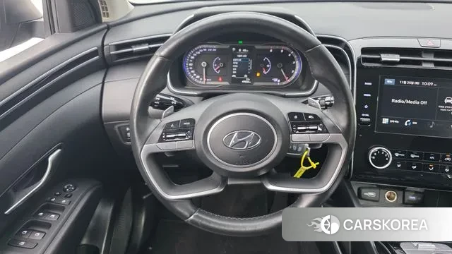 Hyundai Tucson (NX4) 2021 Цвет тростника из Кореи, фото 4