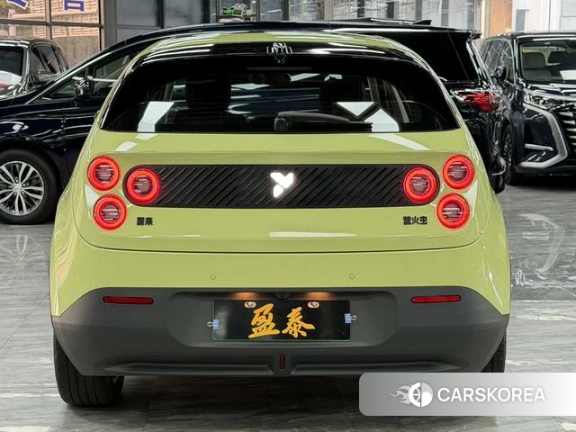 firefly firefly Unknown 2025 Зеленый из Китая, фото 4