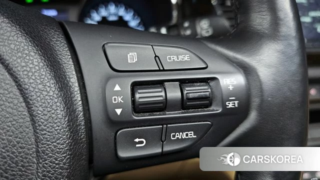 Kia The New Carnival 2019 Белый из Кореи, фото 4