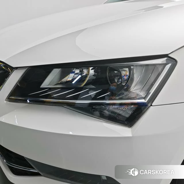 Skoda Speed pie 2018 Белый из Китая, фото 4