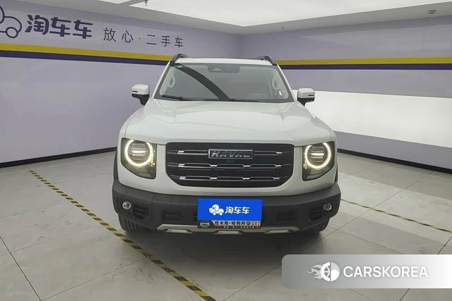 Haval Big dog 2022 Белый из Китая, фото 4