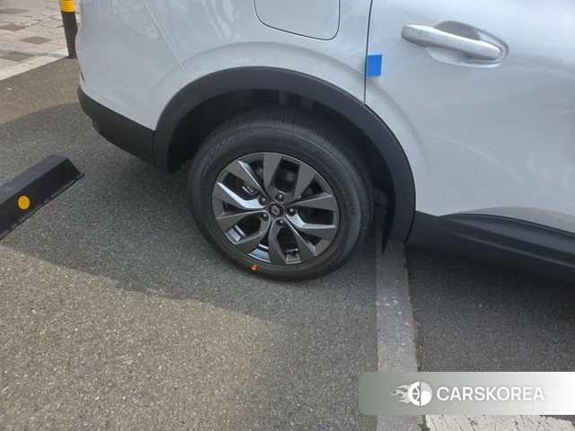 Renault Korea (Samsung) Arcana 2025 Жемчужный цвет из Кореи, фото 4