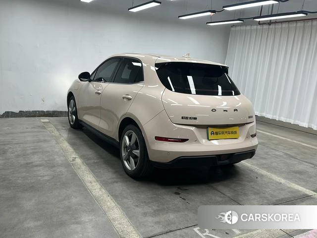 Euler Good cat 2022 Другой из Китая, фото 4