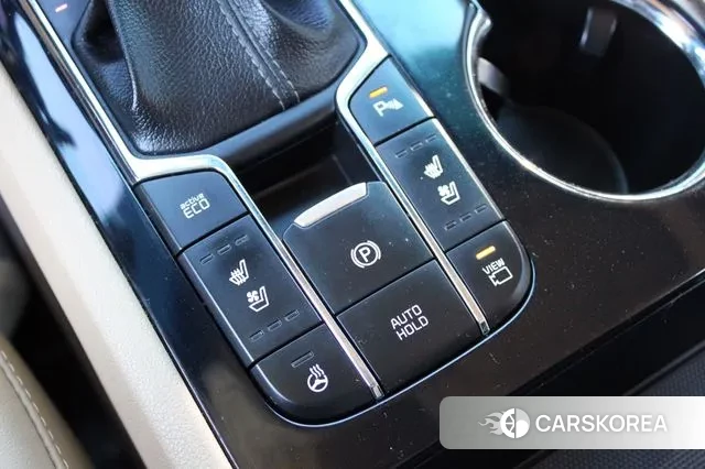 Kia The New Carnival 2019 Белый из Кореи, фото 4