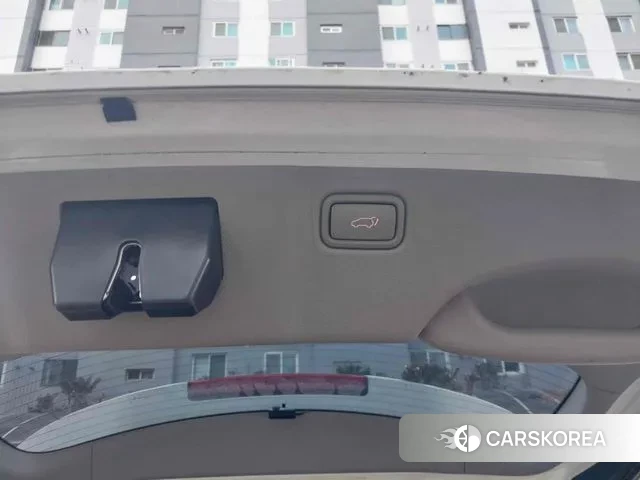 Kia The New Carnival 2018 Жемчужный цвет из Кореи, фото 4