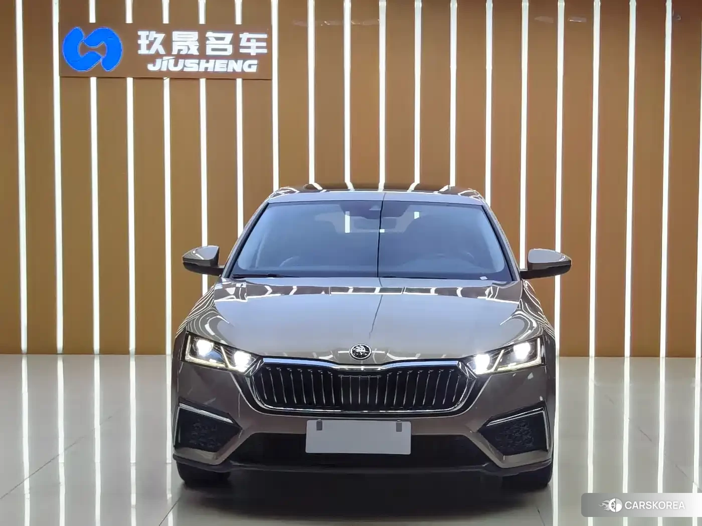 Skoda Octavia 2022 Champagne/brown из Китая, фото 4