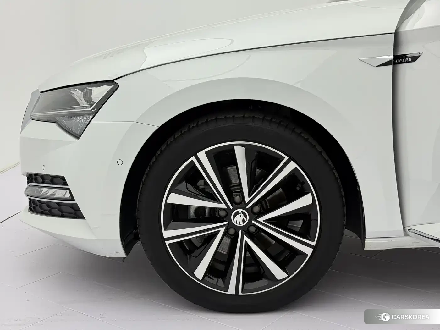 Skoda Speed pie 2023 Белый из Китая, фото 4