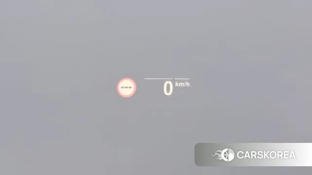 BMW X4 (G02) 2022 Белый из Кореи, фото 4