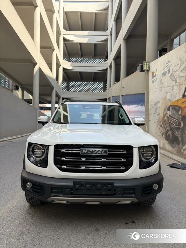 Haval Big dog 2022 Белый из Китая, фото 4