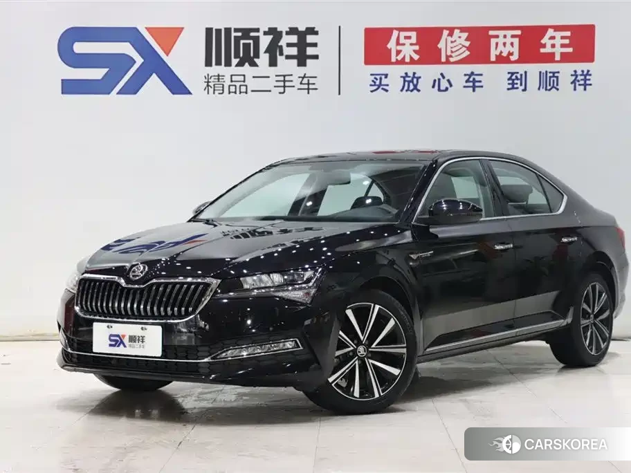 Skoda Speed pie 2024 Черный из Китая, фото 4