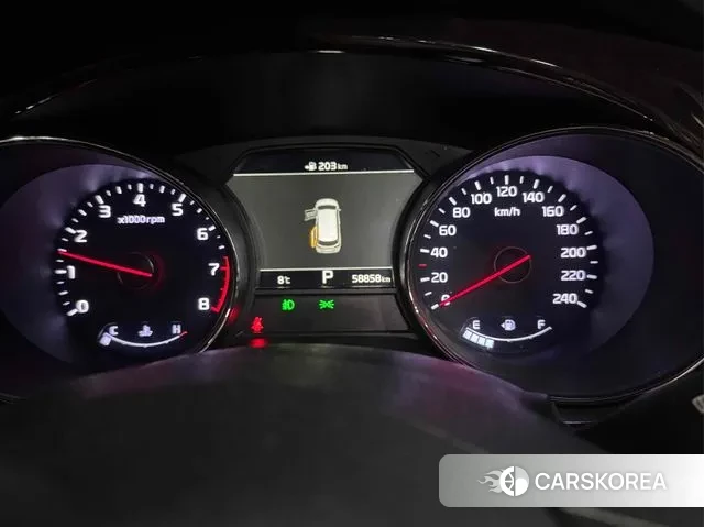 Kia The New Carnival 2018 Белый из Кореи, фото 4