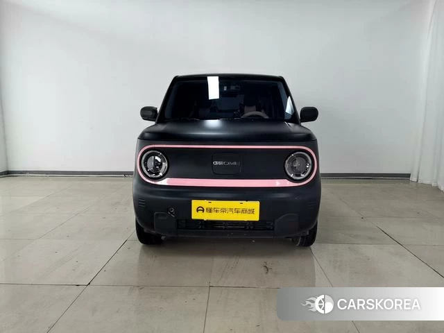 Geely Galaxy panda 2025 Черный из Китая, фото 4