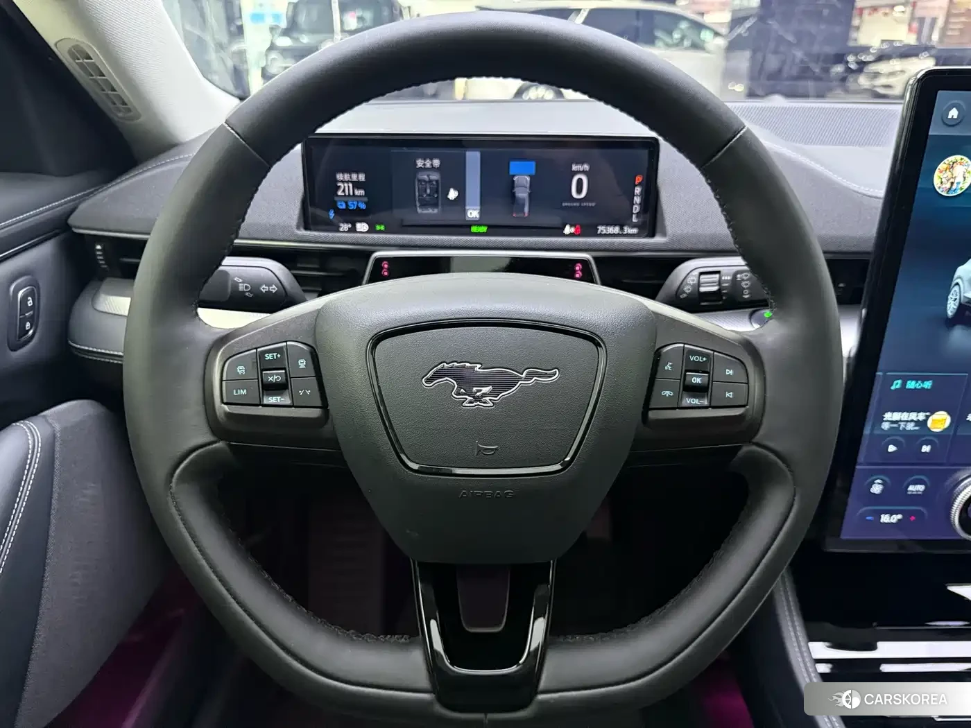Ford Electric horse 2023 Silver/gray из Китая, фото 4