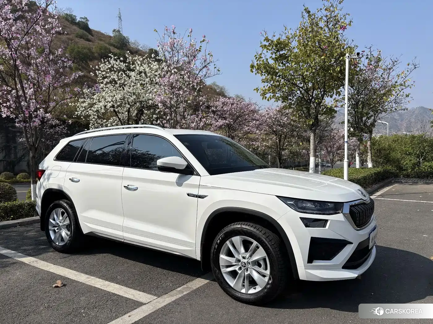Skoda Kodiak 2025 Белый из Китая, фото 4