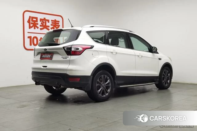 Ford Winged Tiger 2019 Белый из Китая, фото 4