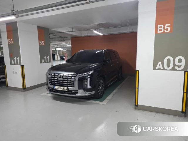 Hyundai The New Palisade 2024 Зеленый из Кореи, фото 4