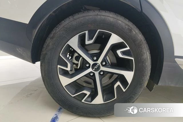 Kia Lion Platinum expands the world 2023 Белый из Китая, фото 4
