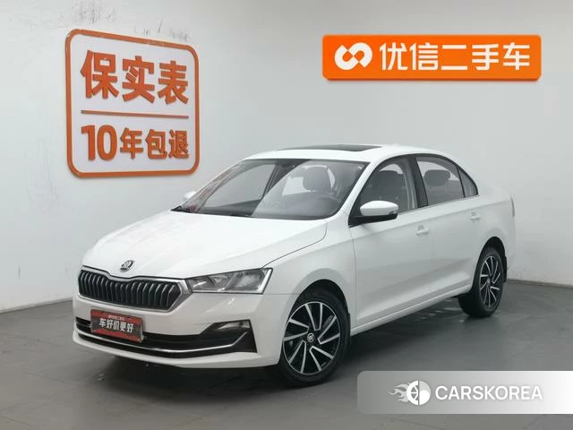 Skoda Xin Rui 2021 Белый из Китая, фото 4
