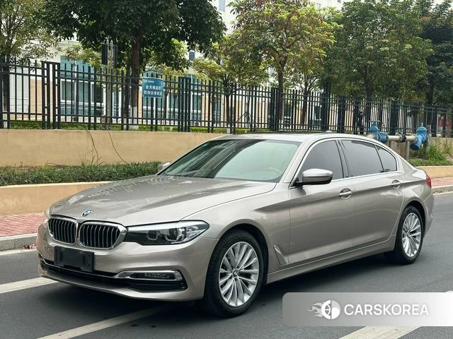 BMW 5 series 2019 Шампань из Китая, фото 4