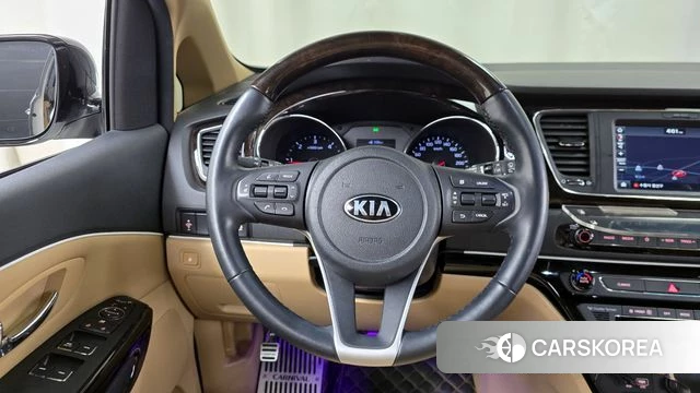 Kia The New Carnival 2019 Белый из Кореи, фото 4