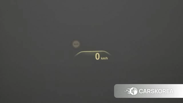 BMW X3 (G01) 2019 Белый из Кореи, фото 4