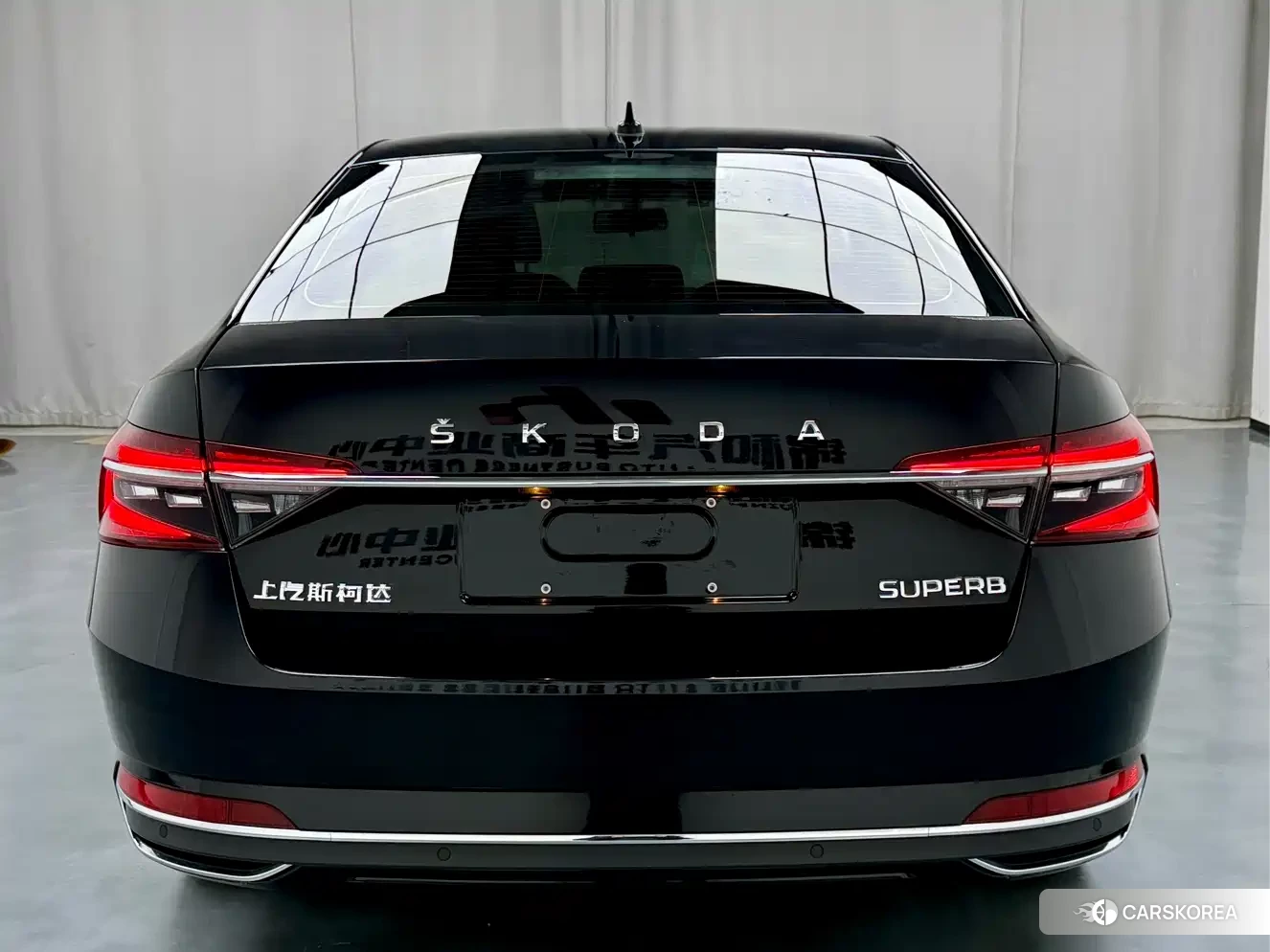Skoda Speed pie 2023 Черный из Китая, фото 4