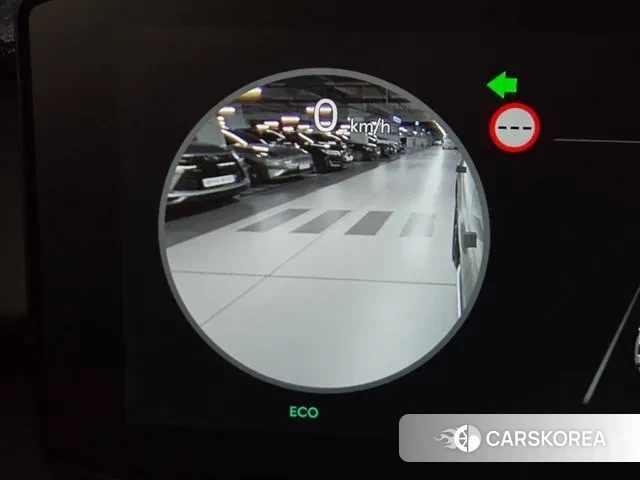 Kia The New Sorento 4th Generation 2025 Цвет тростника из Кореи, фото 4