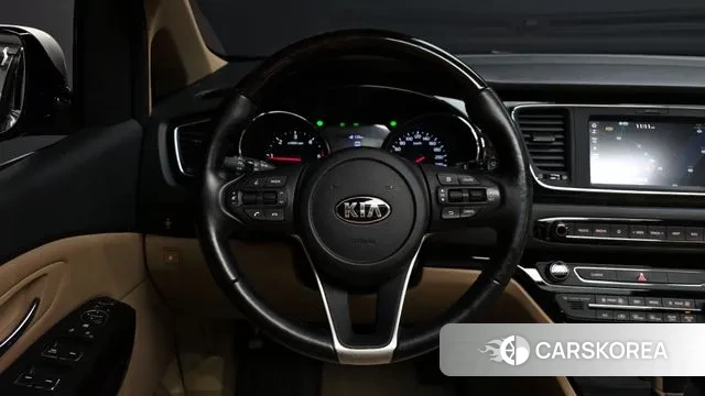 Kia The New Carnival 2019 Белый из Кореи, фото 4