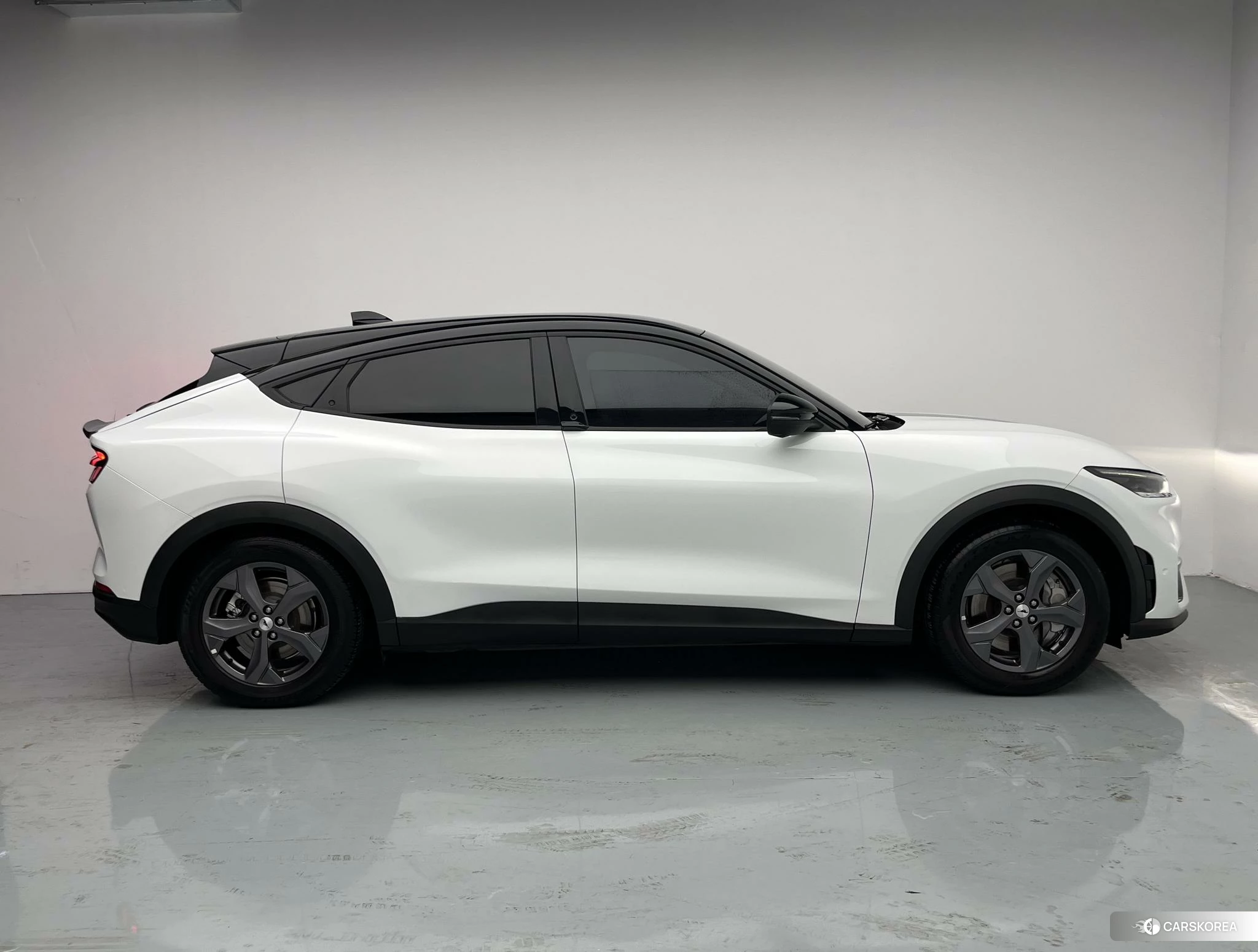 Ford Electric horse 2021 Другой из Китая, фото 4