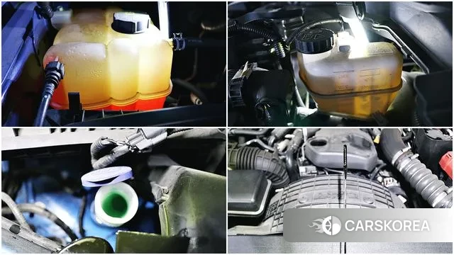 Ford Ranger 3rd Generation 2021 Синий из Кореи, фото 4