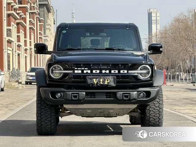 Ford Lie Ma 2025 Черный из Китая, фото 4
