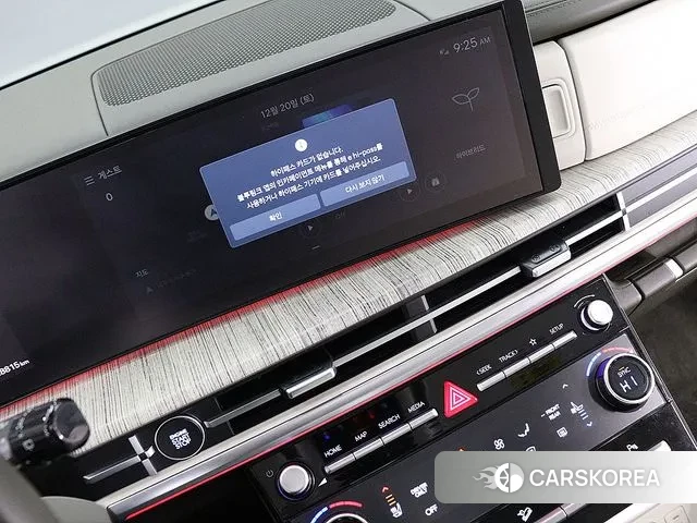 Hyundai Santa Fe (MX5) 2024 Цвет тростника из Кореи, фото 4