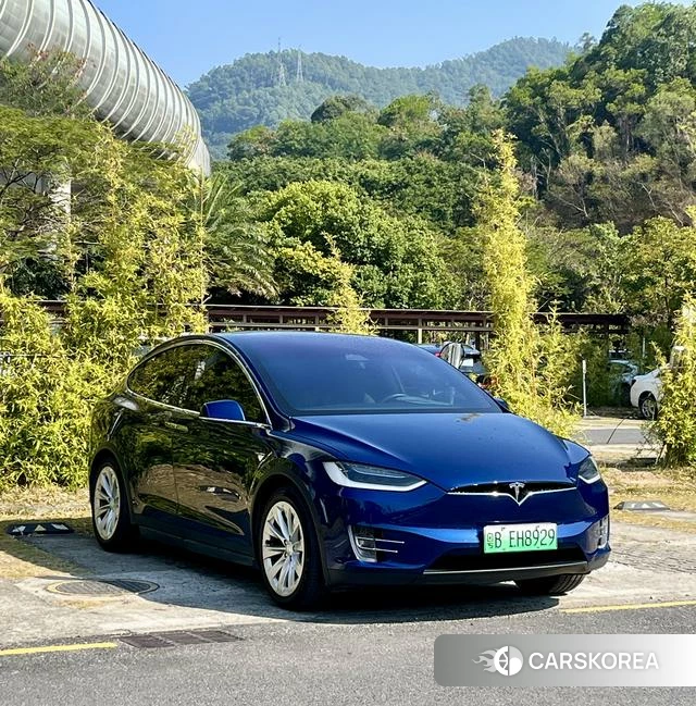 Tesla Model X 2019 Синий из Китая, фото 4
